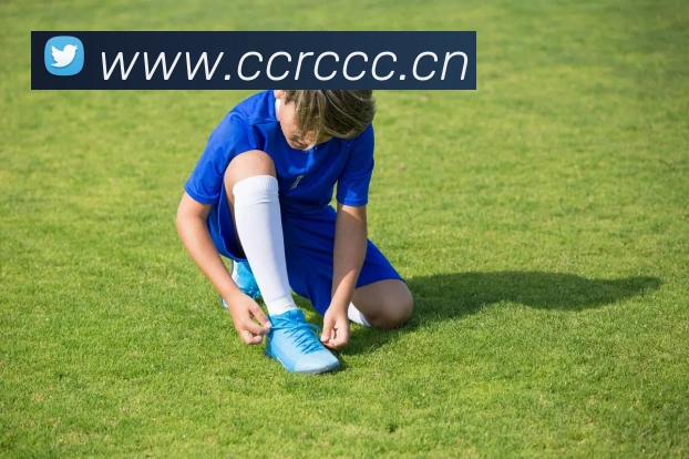 开云网页版登录入口手机版服务体系